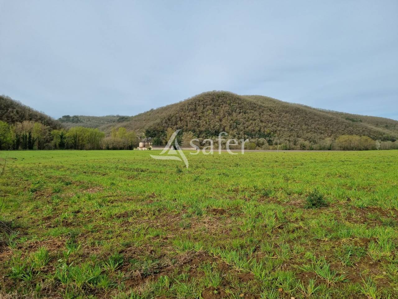 Propiedad rural En venta Lot