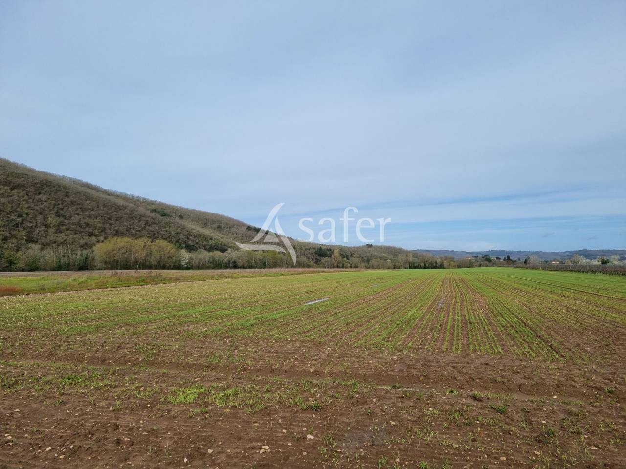 Propiedad rural En venta Lot