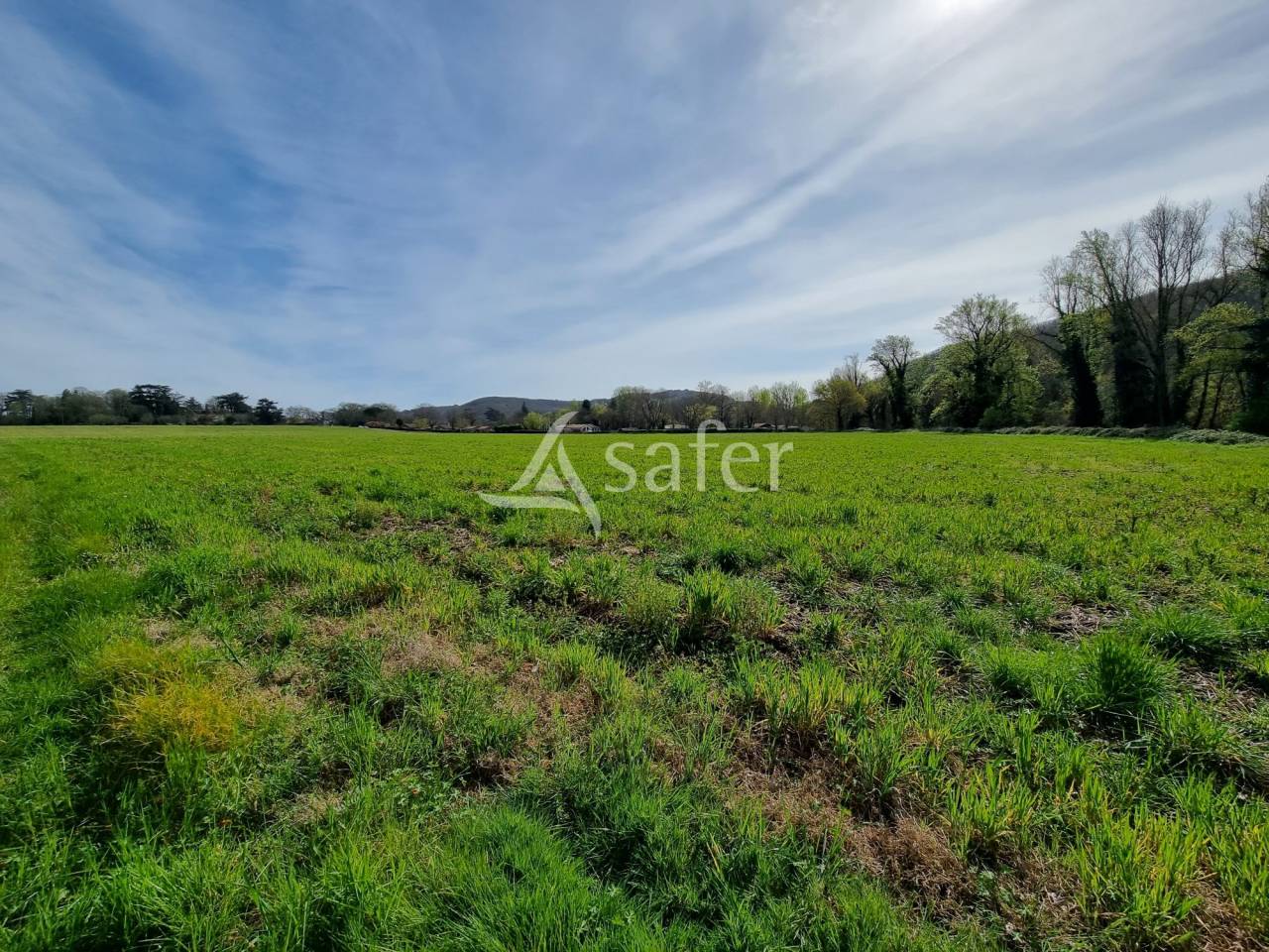 Propiedad rural En venta Lot