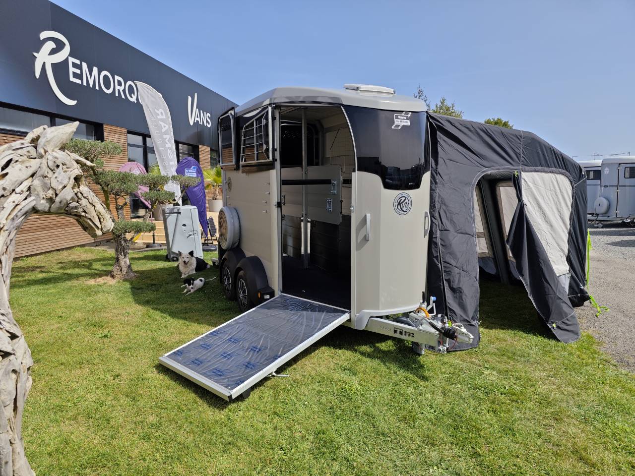 Van caballos Ifor Williams Hbx506 2 Caballos 2025 Nuevo