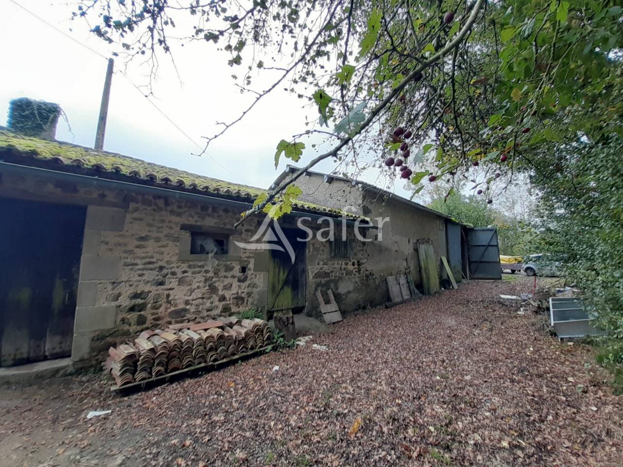 Propiedad ecuestre En venta Deux-Sèvres