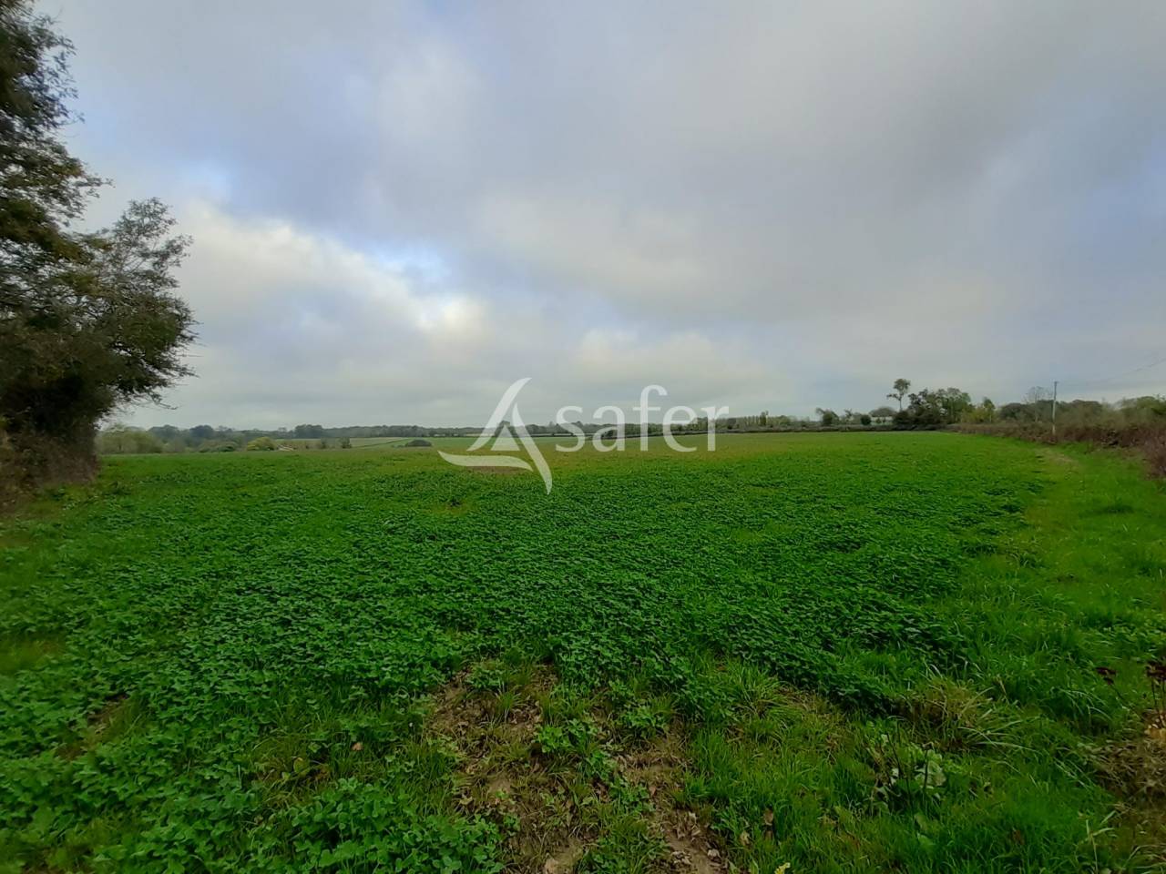 Propiedad ecuestre En venta Deux-Sèvres