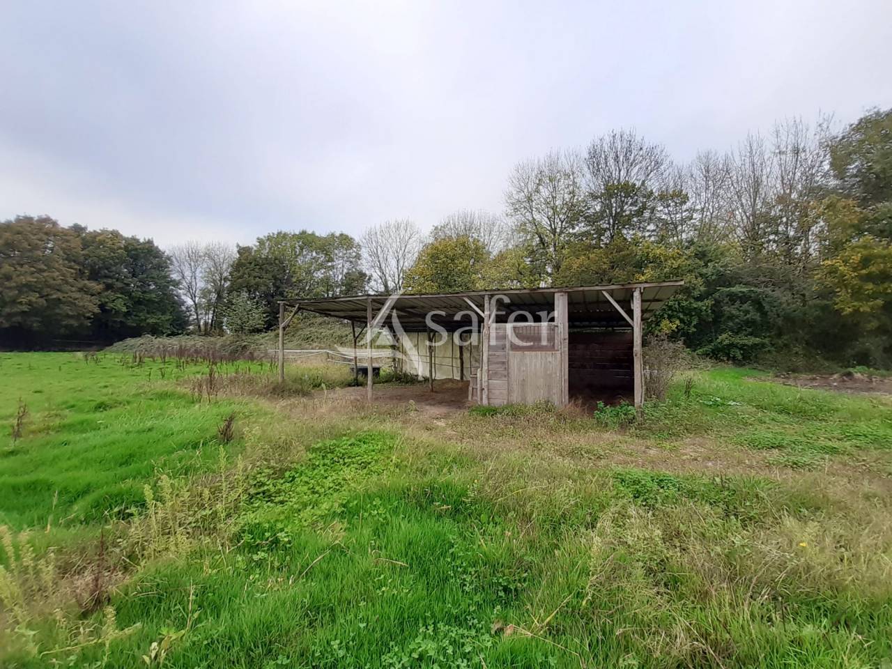 Propiedad ecuestre En venta Deux-Sèvres