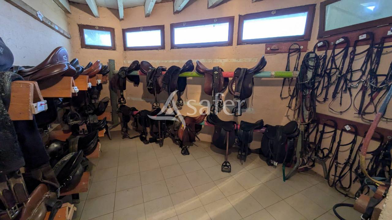 Propiedad ecuestre En venta Maine y Loira