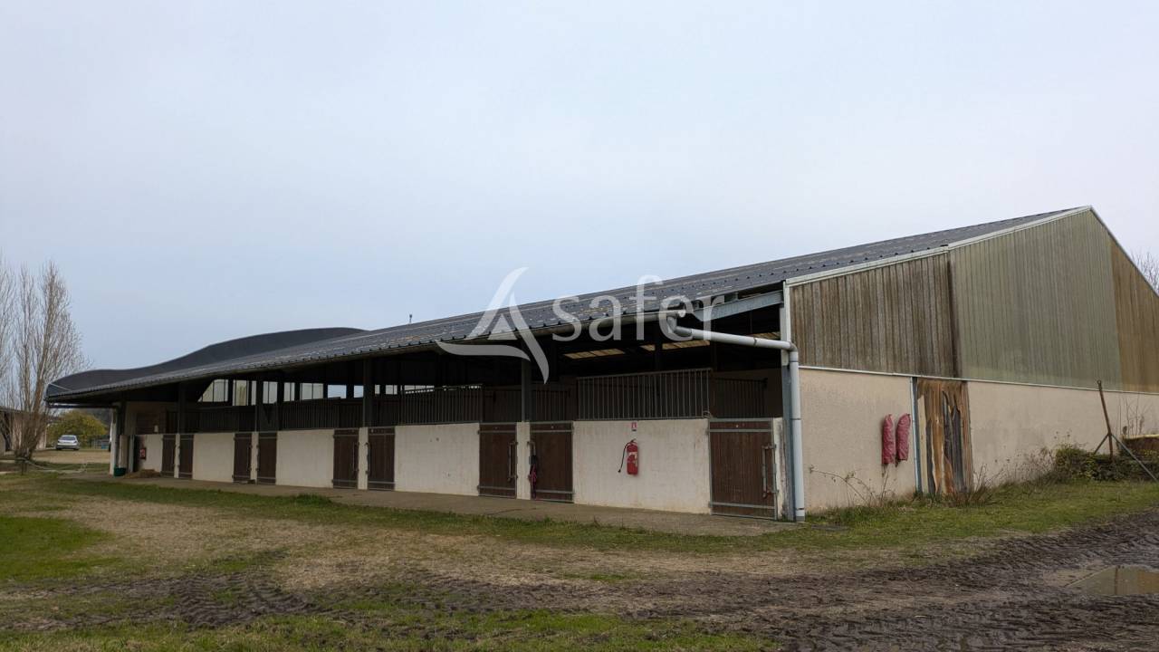 Propiedad ecuestre En venta Maine y Loira
