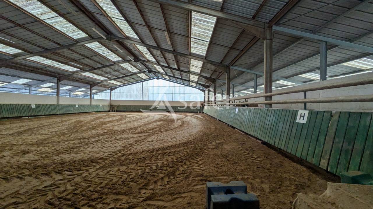 Propiedad ecuestre En venta Maine y Loira