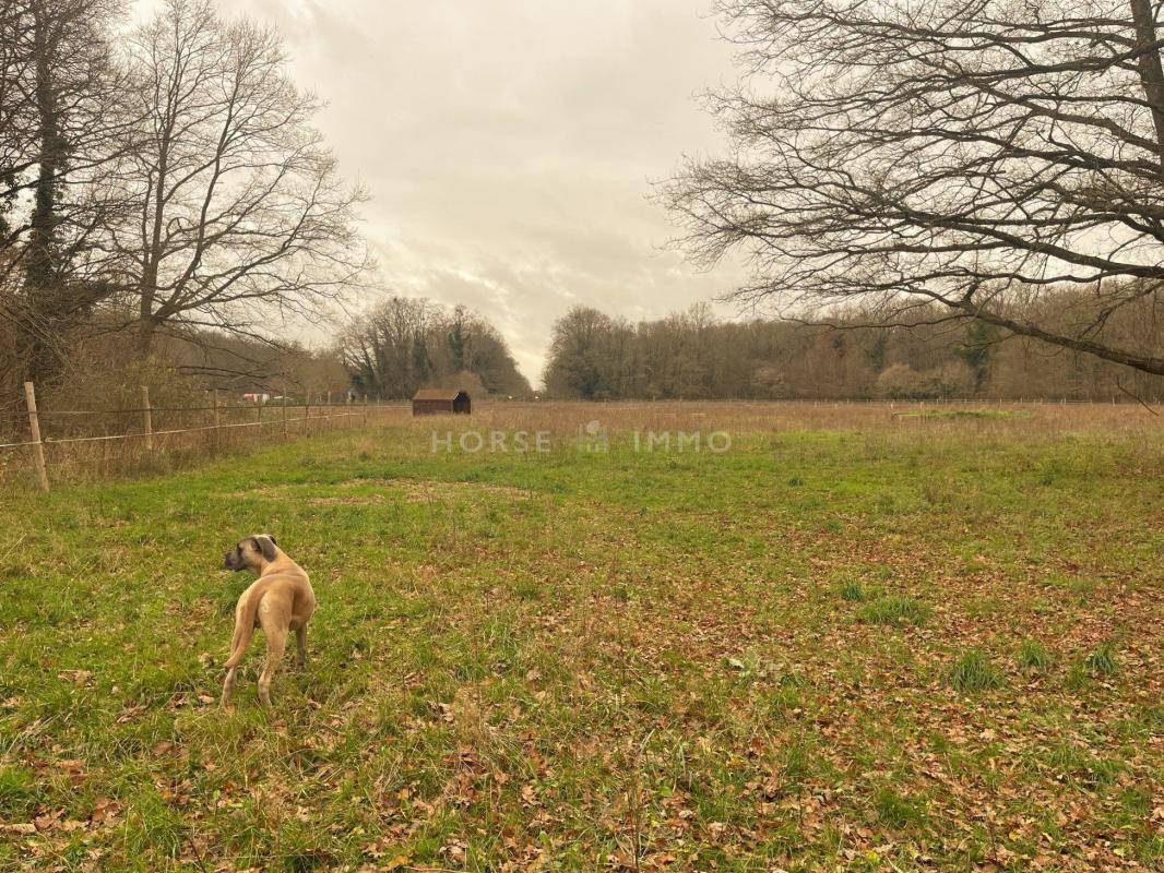 Acaballadero En venta Oise