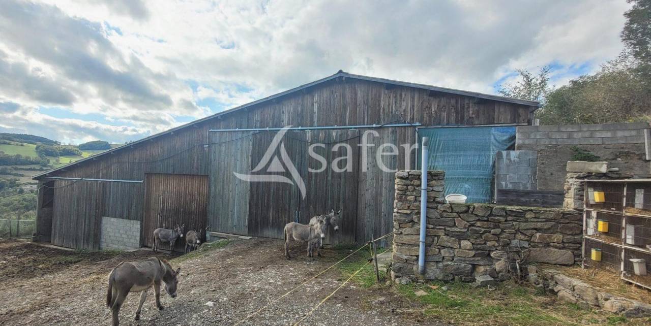 Explotación agrícola En venta Ródano