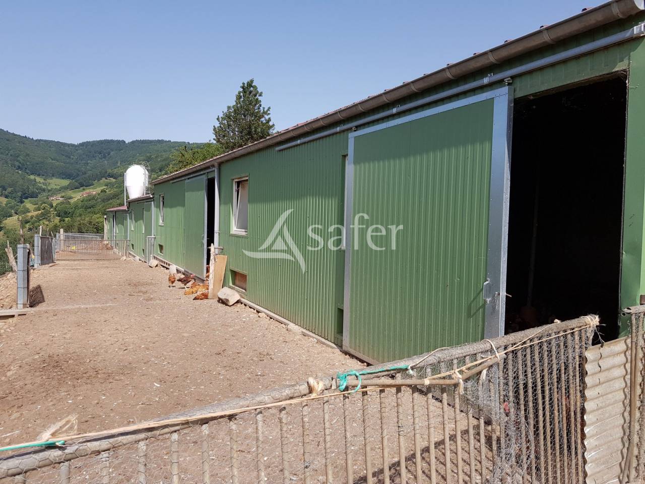 Explotación agrícola En venta Ródano