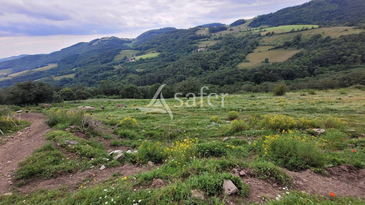 Explotación agrícola En venta Ródano