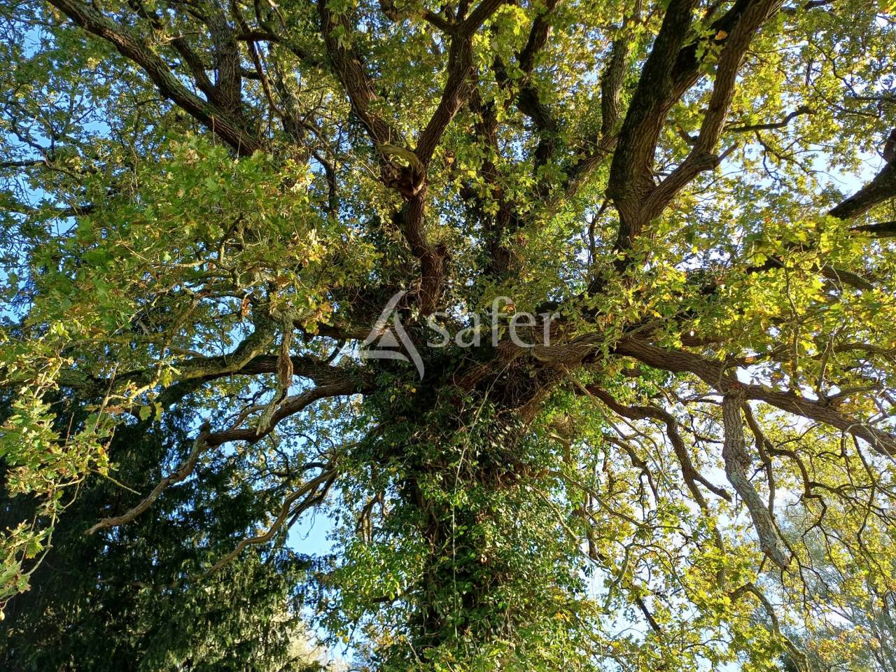 Explotación agrícola En venta Charente Marítimo