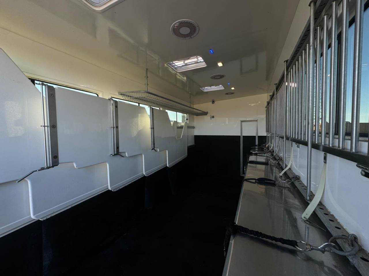 Camión para caballos - Otra marca - PAILLARD 2023 De segunda mano