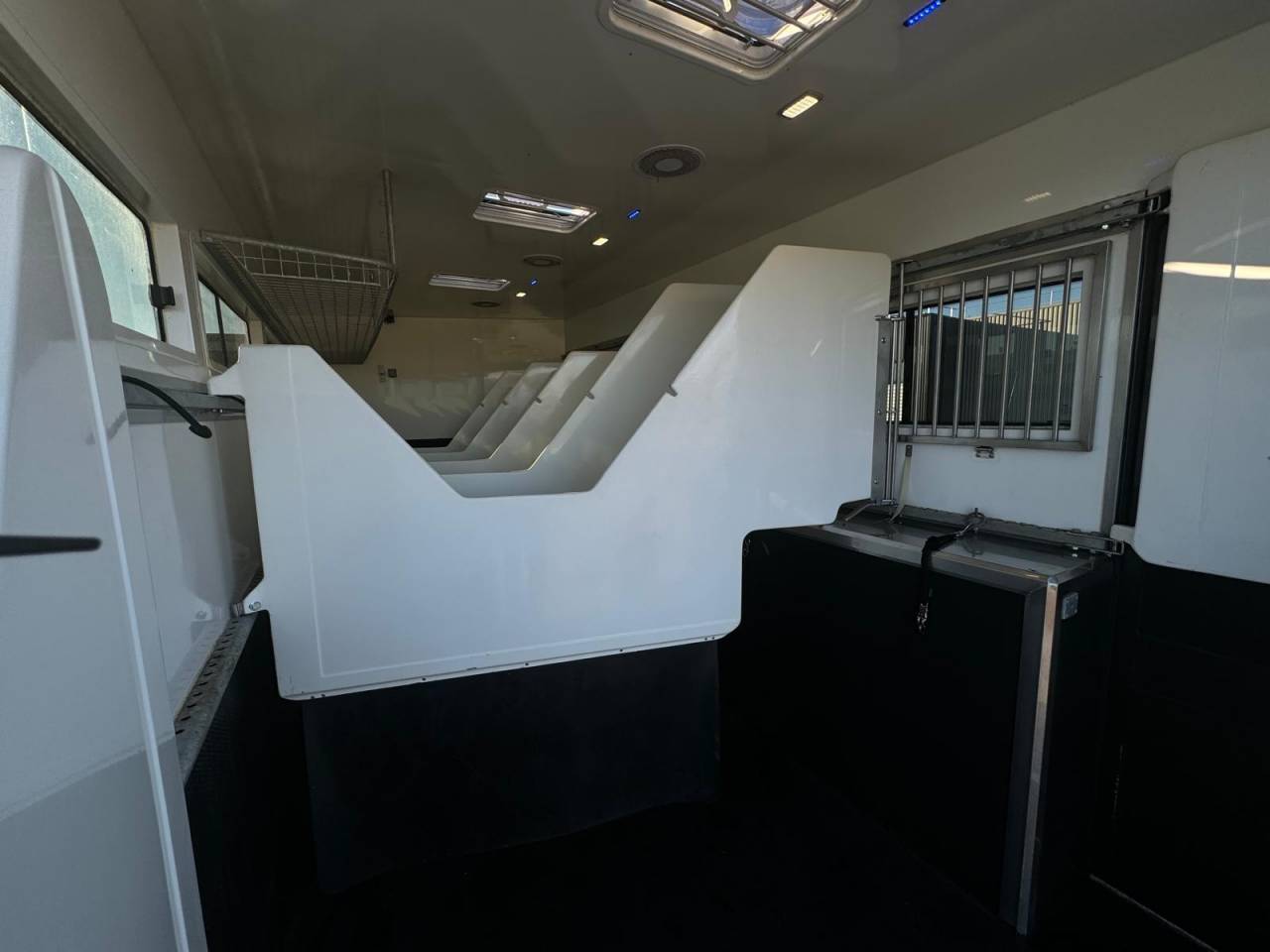 Camión para caballos - Otra marca - PAILLARD 2023 De segunda mano