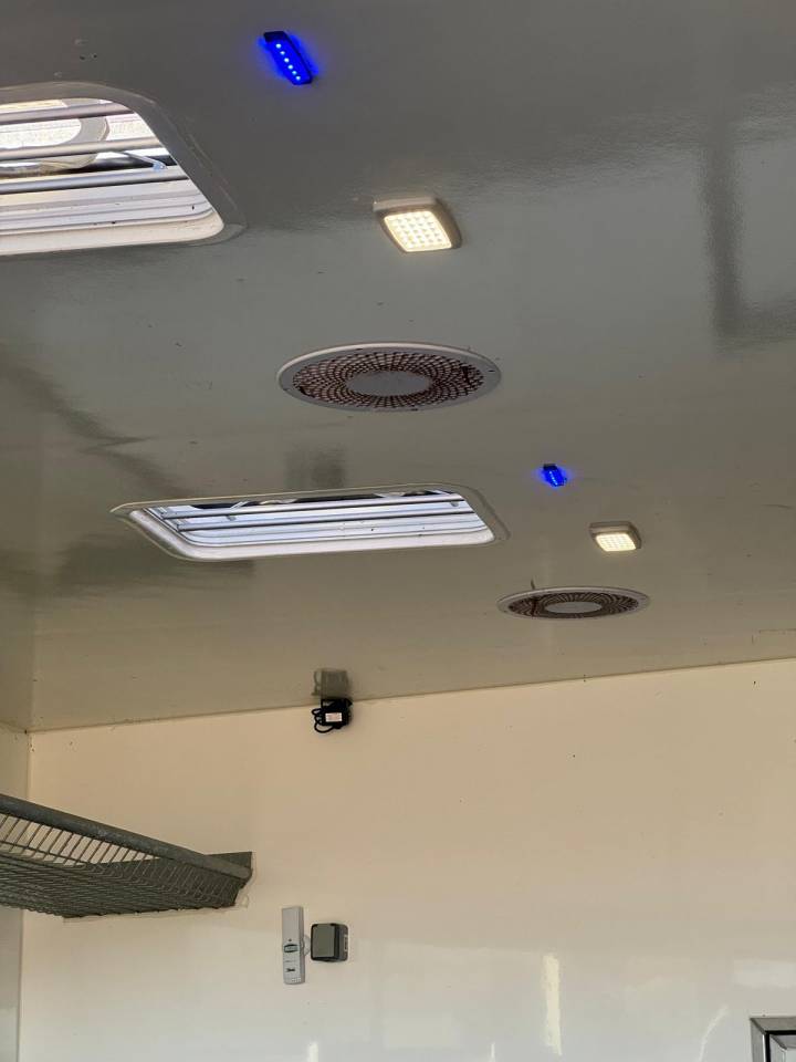 Camión para caballos - Otra marca - PAILLARD 2023 De segunda mano