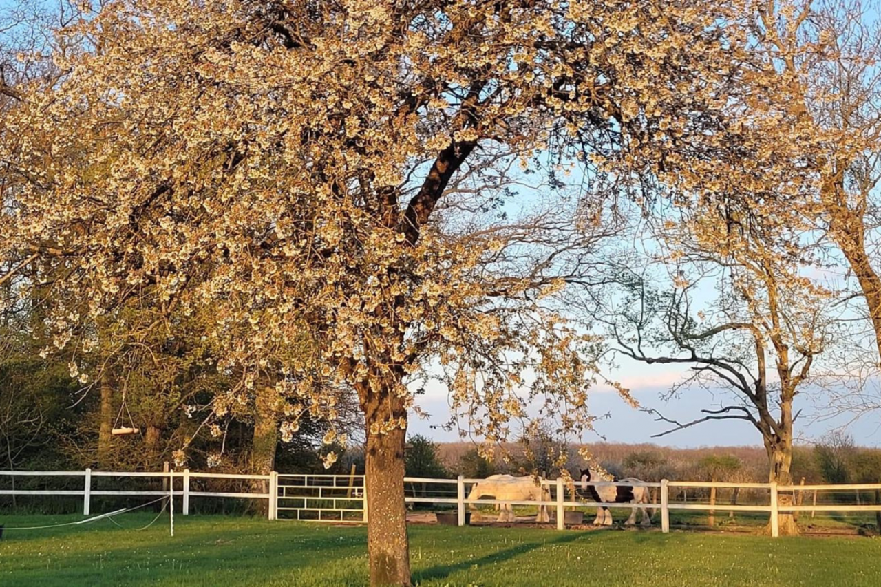 Propiedad ecuestre En venta Eure