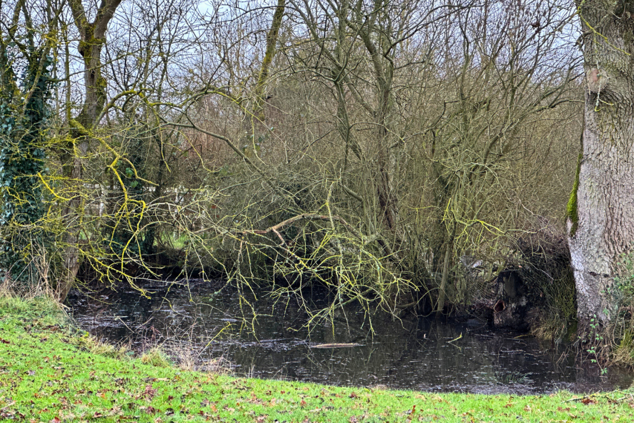 Propiedad ecuestre En venta Eure