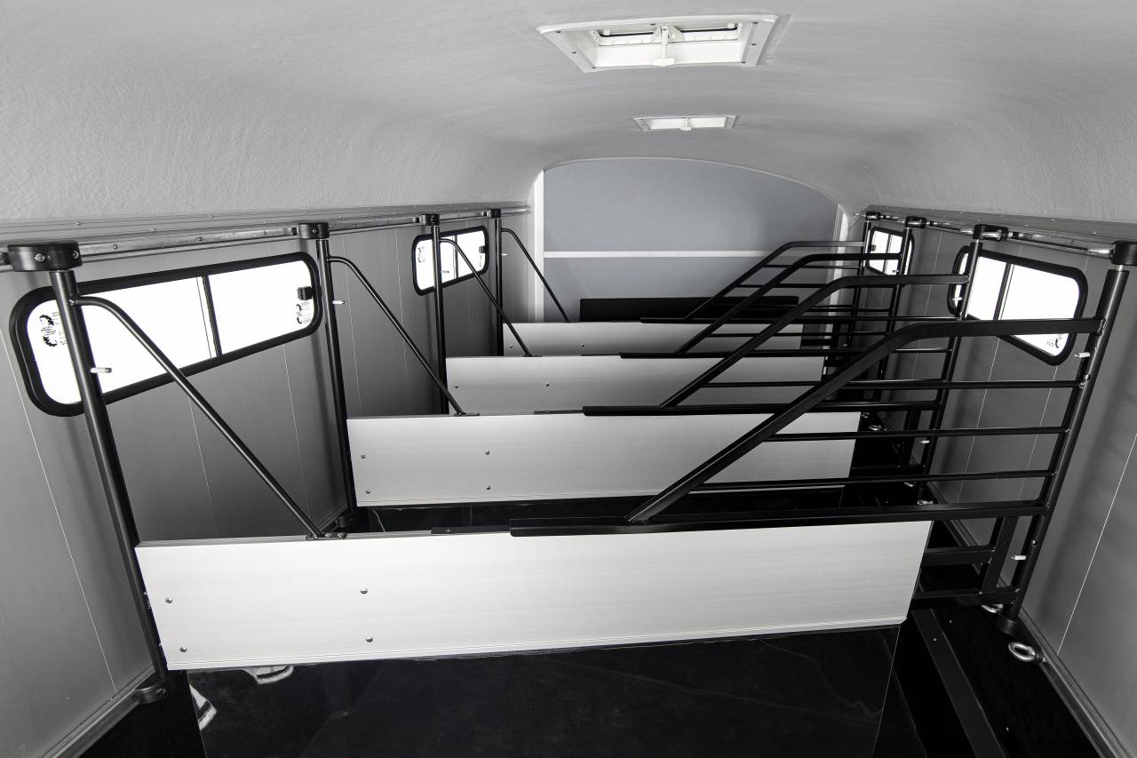 Van caballos Cheval Liberté Islandic 5 Caballos 2025 Nuevo