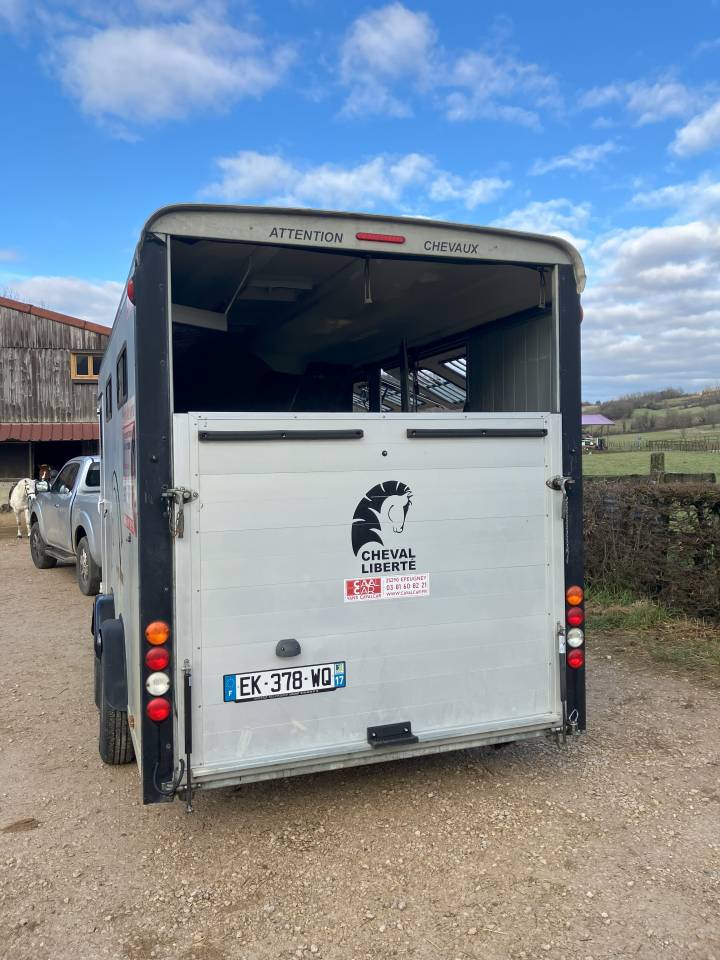 Van caballos Cheval Liberté  4 Caballos 2017 De segunda mano