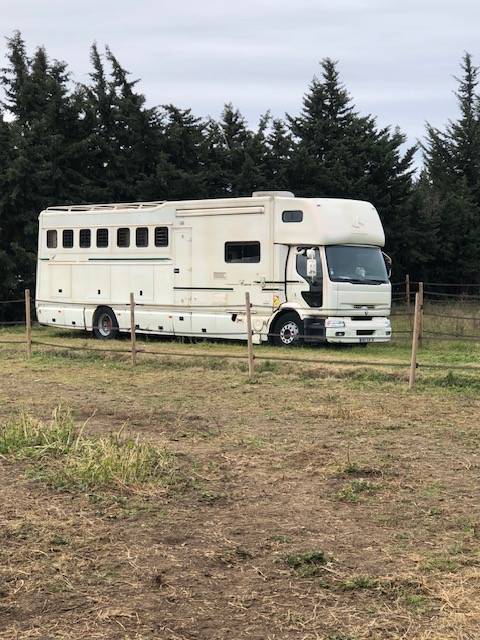 Camión para caballos - Otra marca - DONGUY 2000 De segunda mano