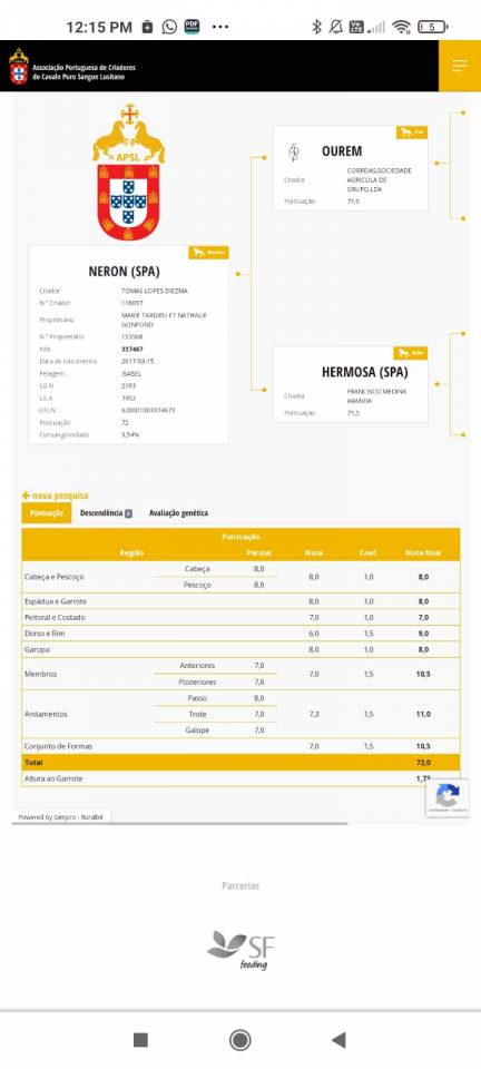 Neron - Lusitano 2018 por Ourem