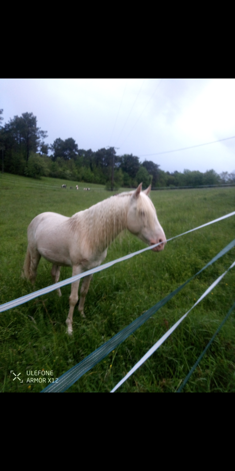 Istro du verseau - Origen No Constatado 2018
