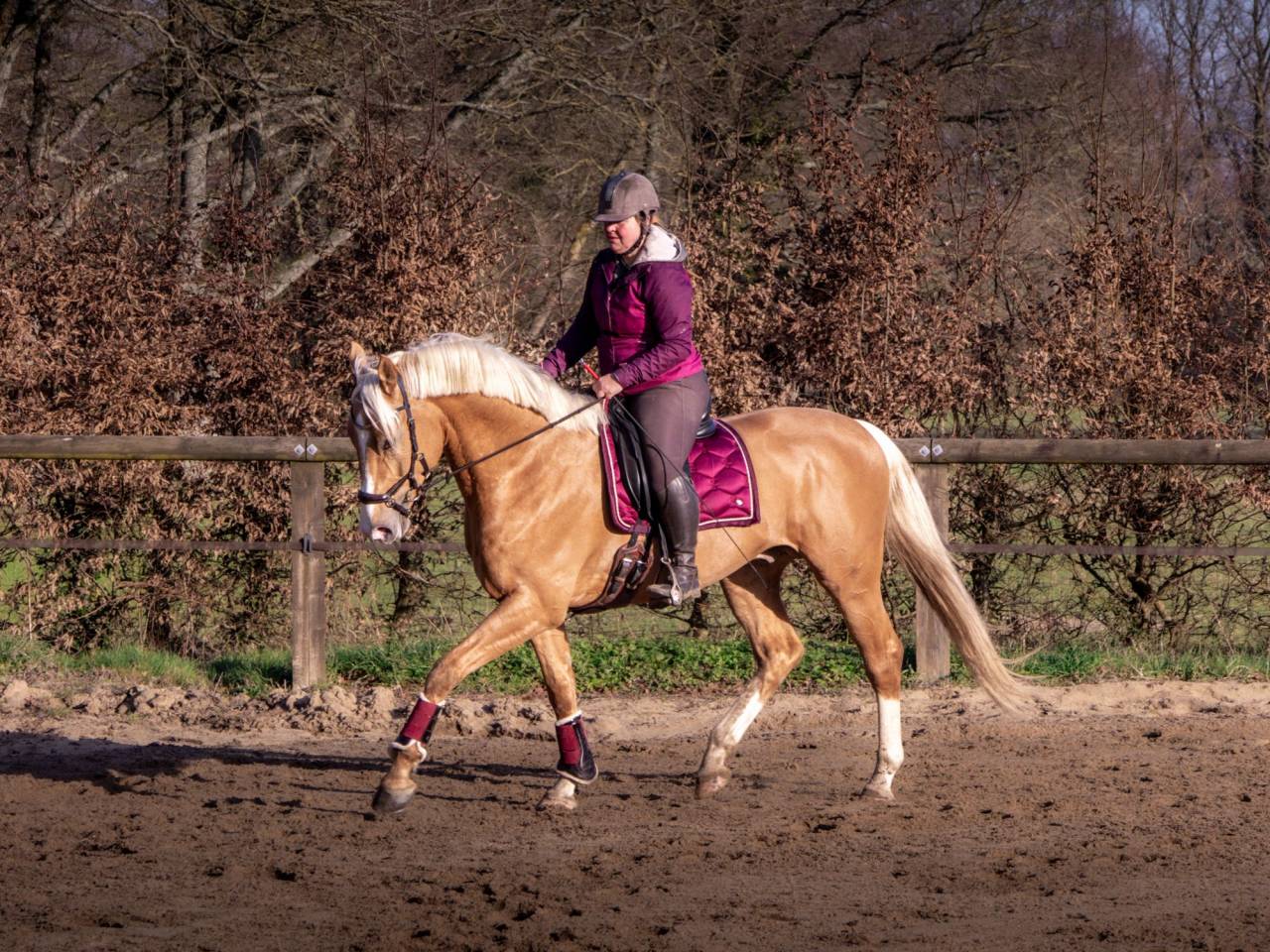 Karat-J  - Wielkopolski  2019 por Arktos