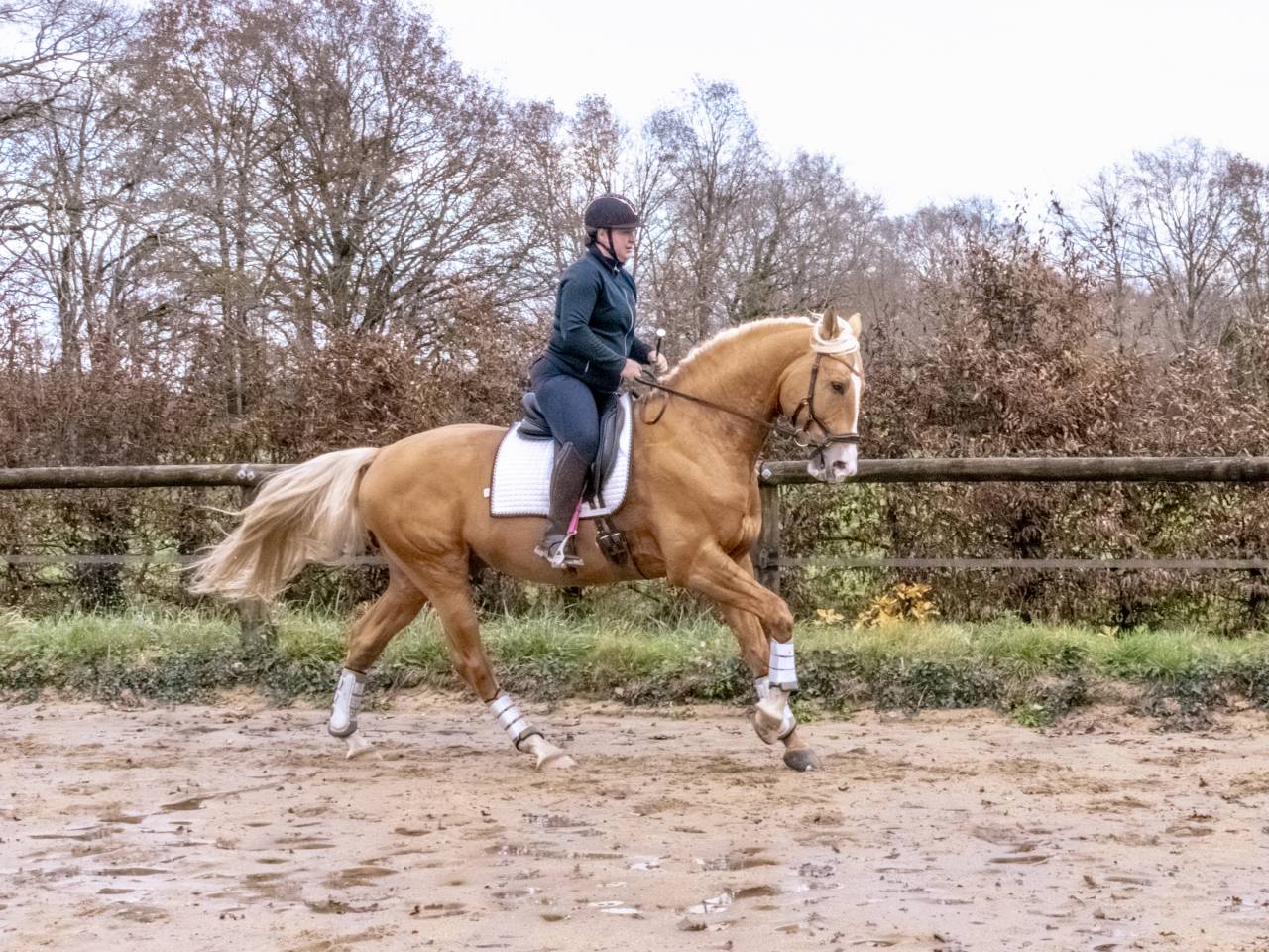 Karat-J  - Wielkopolski  2019 por Arktos