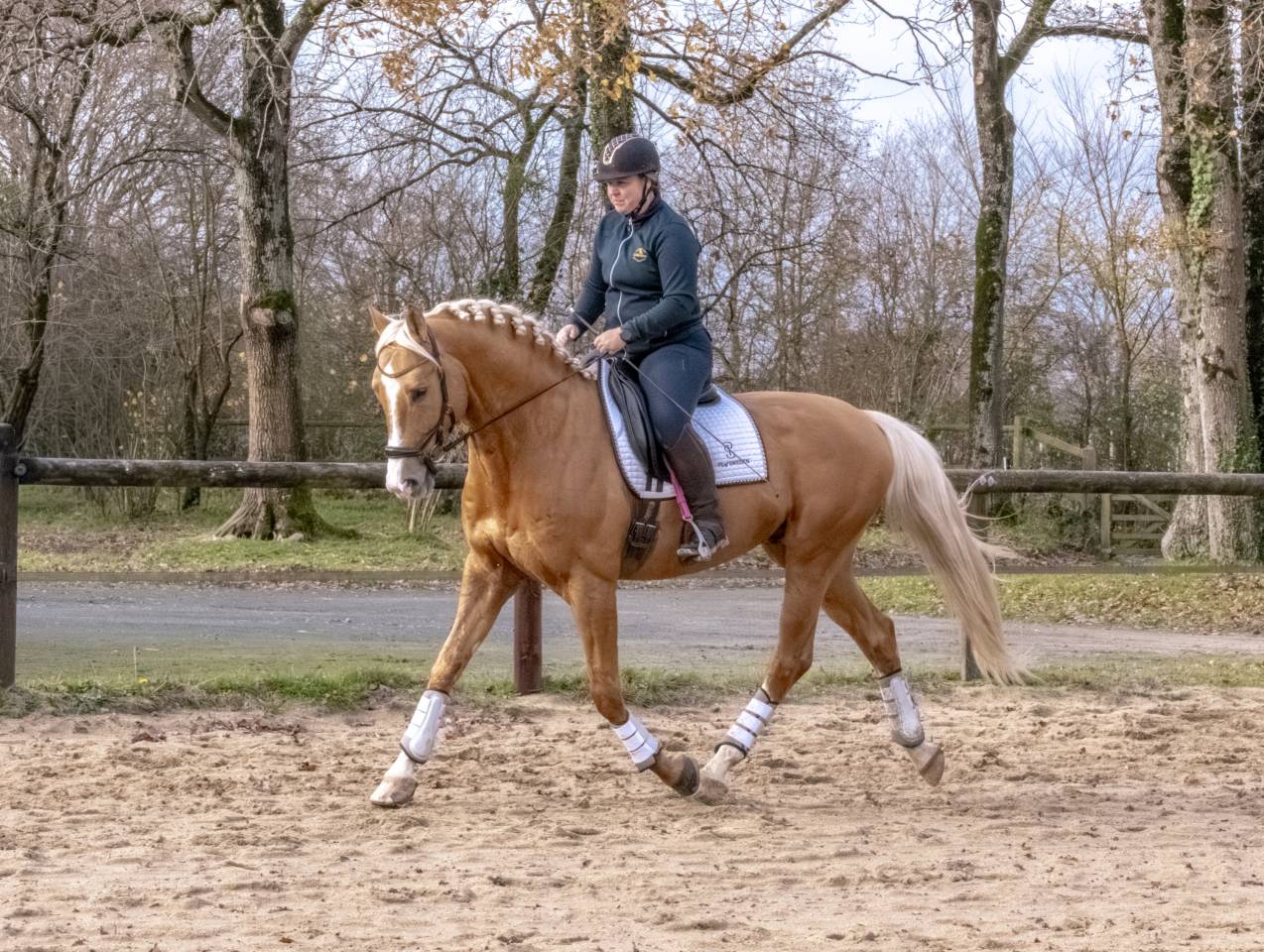 Karat-J  - Wielkopolski  2019 por Arktos