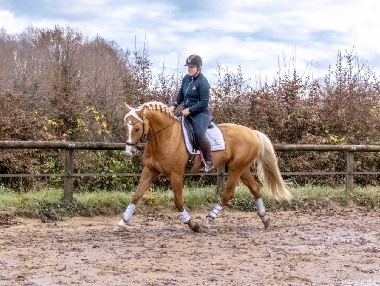 Karat-J  - Wielkopolski  2019 por Arktos