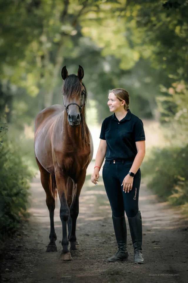 Azzaro de gacia - Pura Sangre Arabe 2022 por LAZEEZ AL SHAHANIA