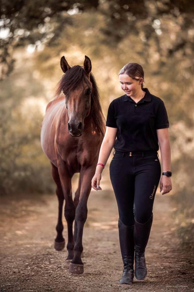 Azzaro de gacia - Pura Sangre Arabe 2022 por LAZEEZ AL SHAHANIA