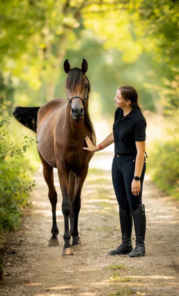 Azzaro de gacia - Pura Sangre Arabe 2022 por LAZEEZ AL SHAHANIA