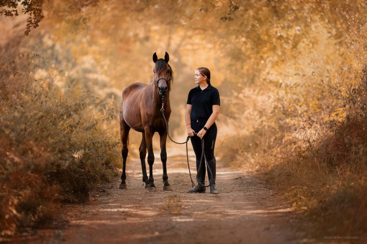Azzaro de gacia - Pura Sangre Arabe 2022 por LAZEEZ AL SHAHANIA