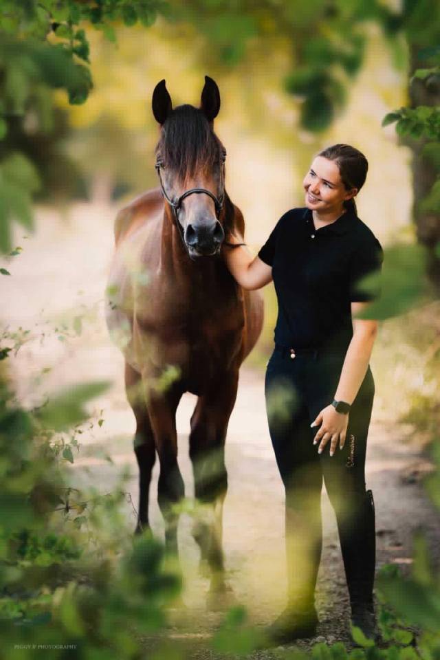 Azzaro de gacia - Pura Sangre Arabe 2022 por LAZEEZ AL SHAHANIA