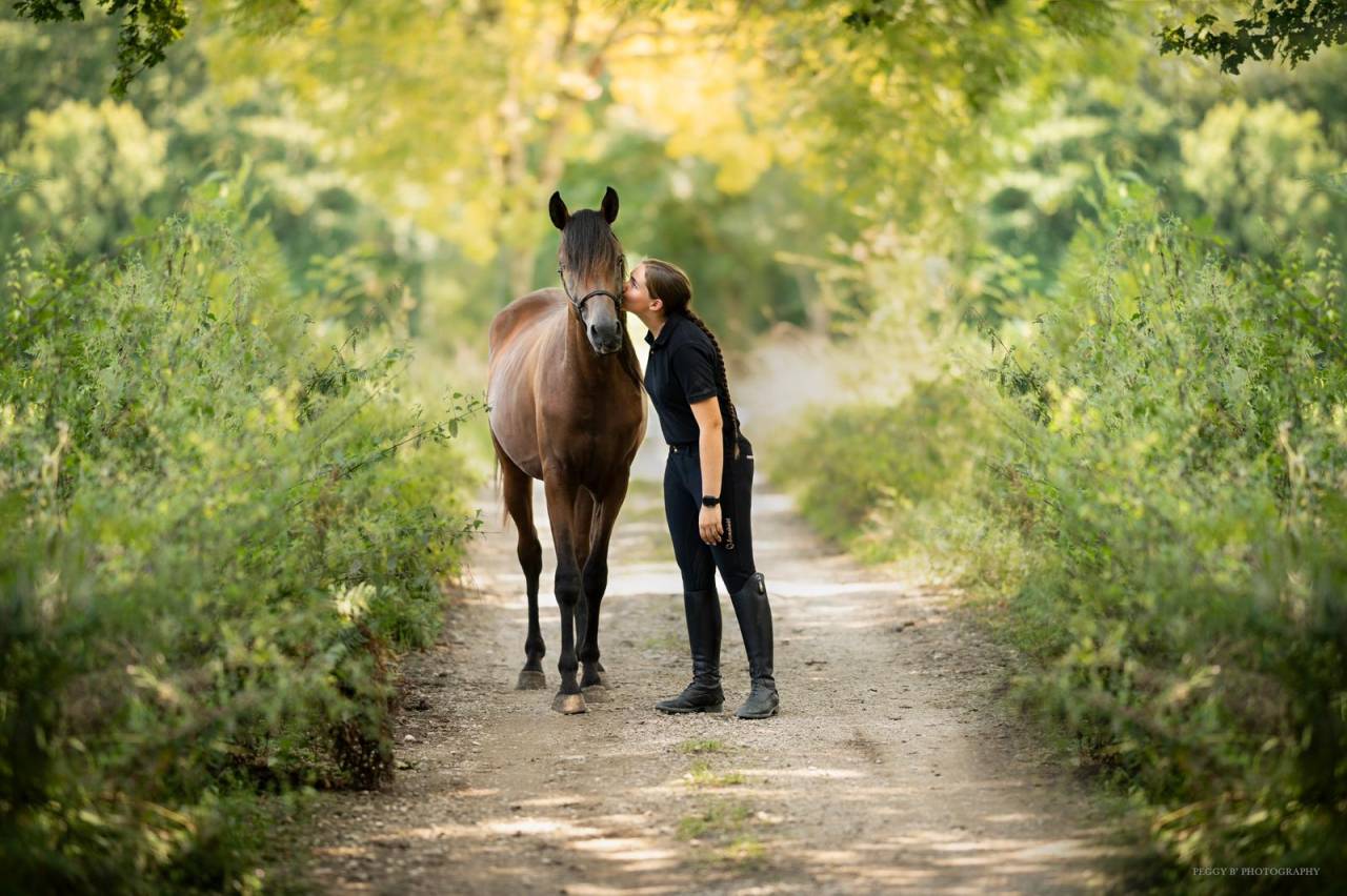 Azzaro de gacia - Pura Sangre Arabe 2022 por LAZEEZ AL SHAHANIA