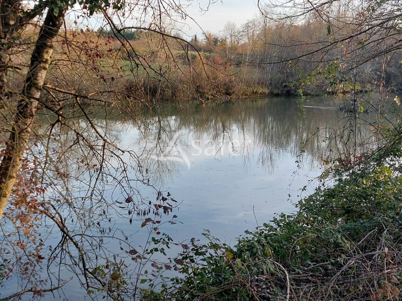 Explotación hortensa En venta Dordoña