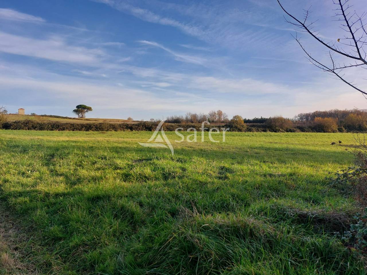 Explotación hortensa En venta Dordoña