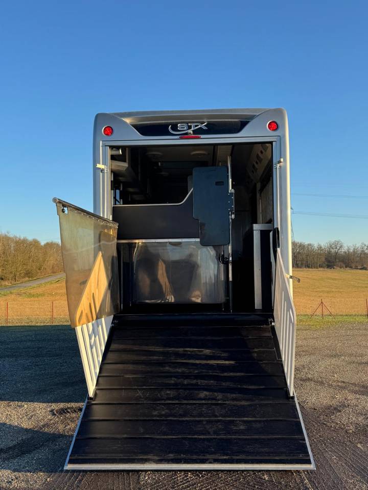 Camión para caballos Scania STX 2019 De segunda mano