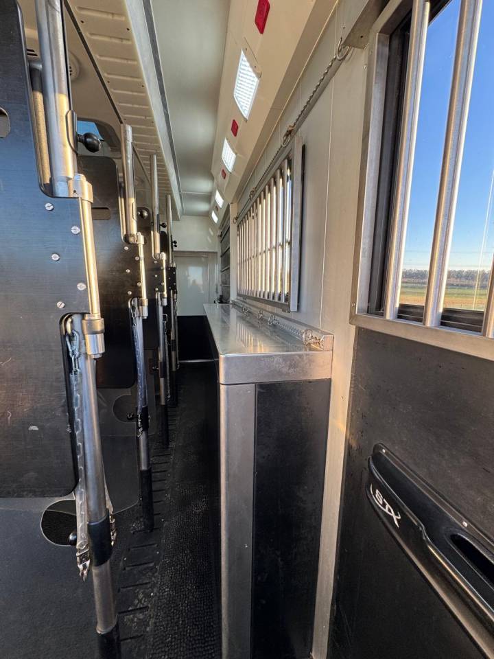 Camión para caballos Scania STX 2019 De segunda mano