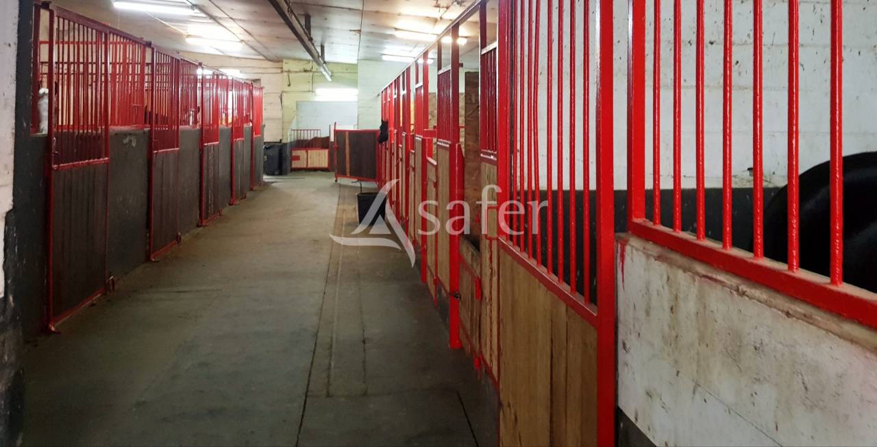 Propiedad ecuestre En venta Meurthe y Mosela