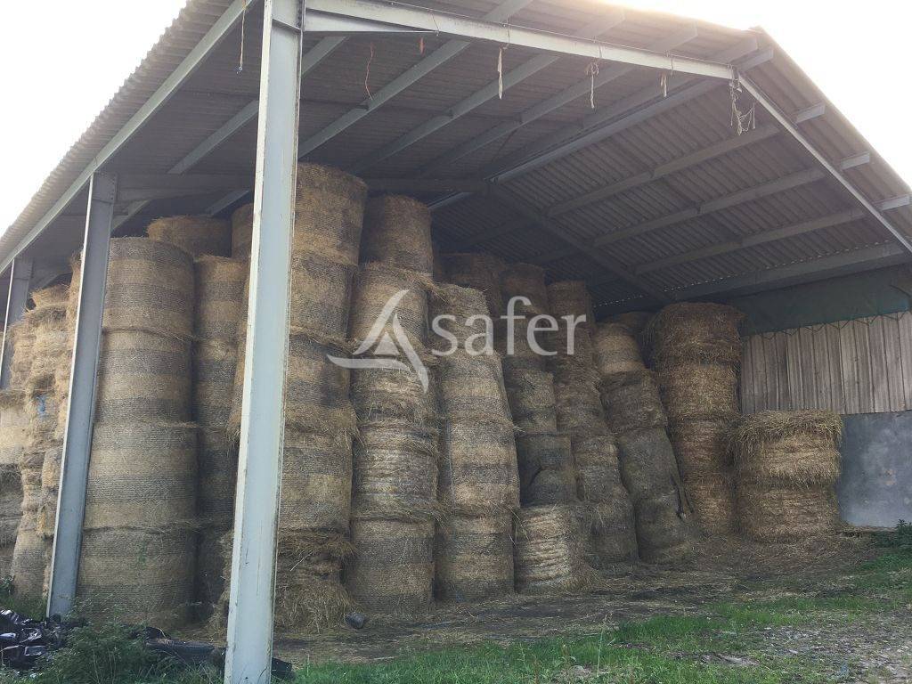 Propiedad rural En venta Creuse