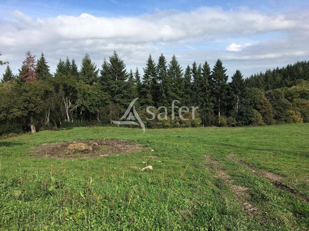 Propiedad rural En venta Creuse