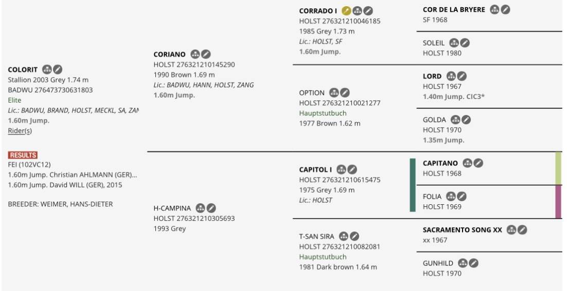 Yegua Silla Francés En venta 2021 Alazán por Colorit