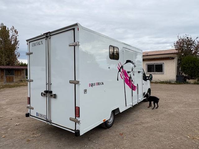 Furgoneta para caballos Renault  2021 De segunda mano