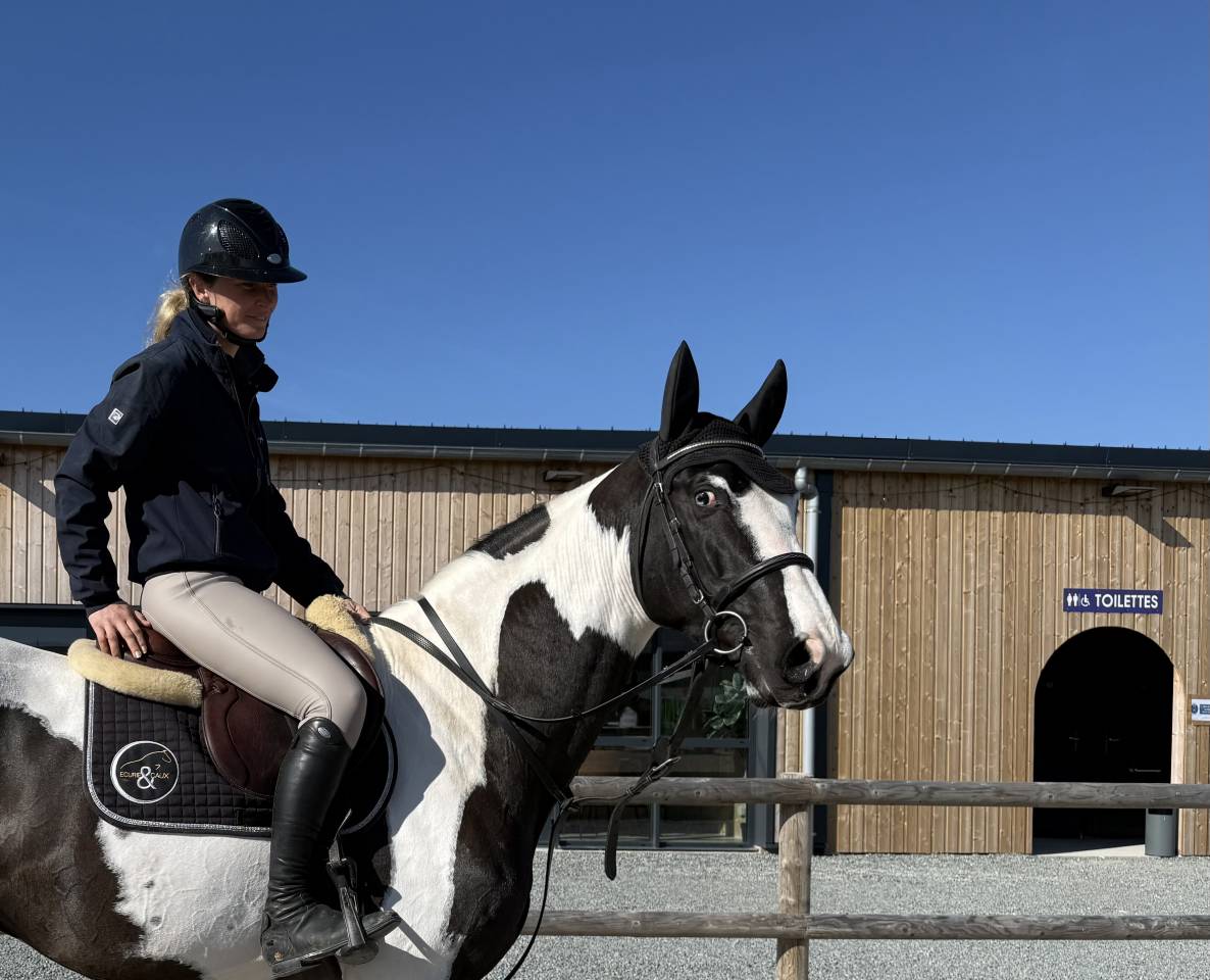 Linvictus d’Enjoy  - AES Anglo European Studbook 2021 por grimoire d’elphen