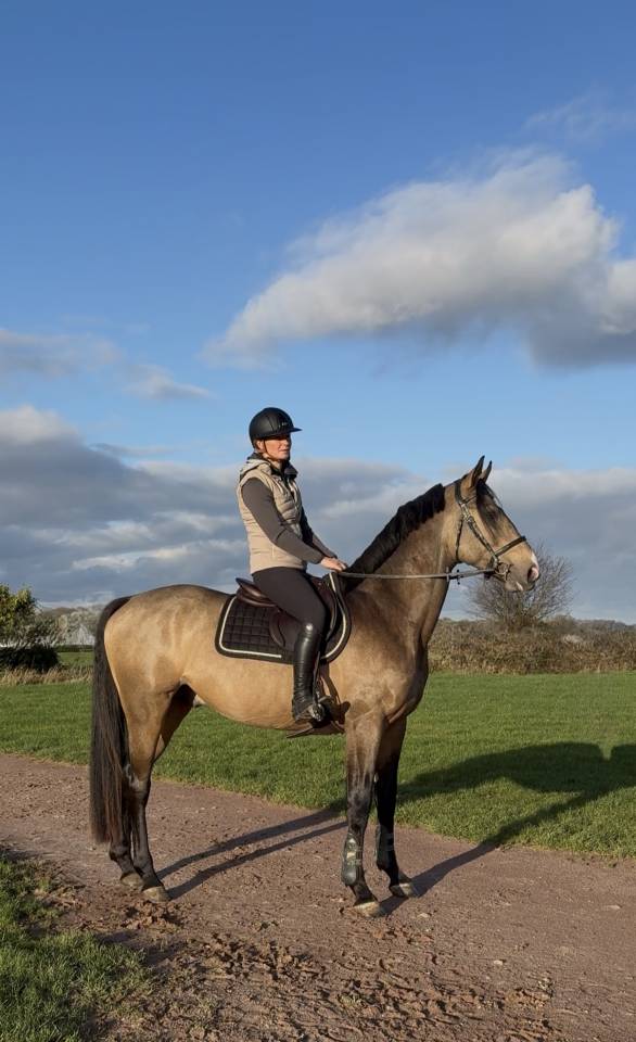 Myst&egrave;re d&rsquo;elphen  - Silla Franc&eacute;s 2022 por Hanes