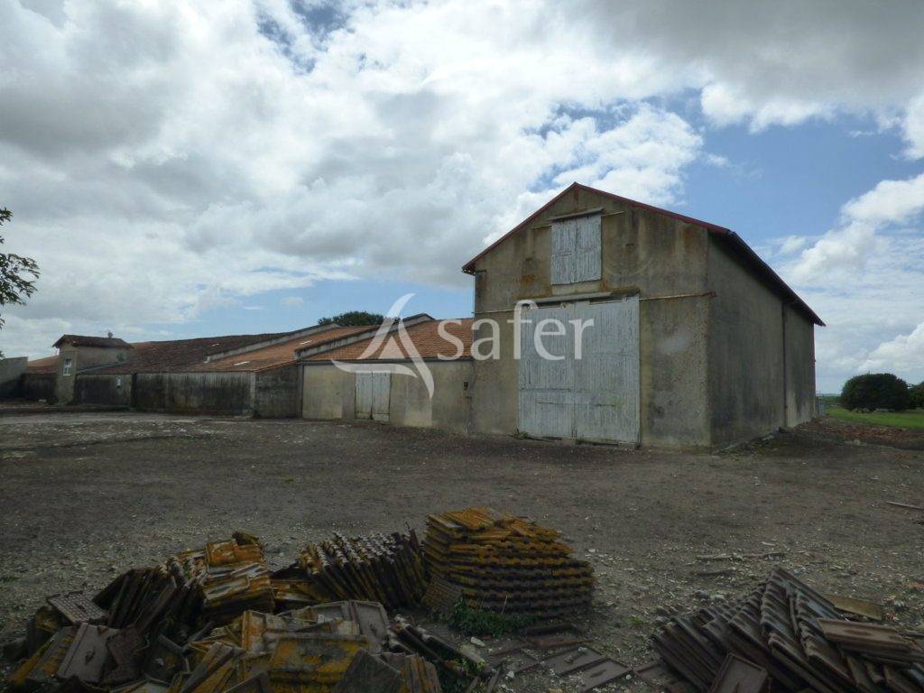 Explotación agrícola En venta Charente Marítimo