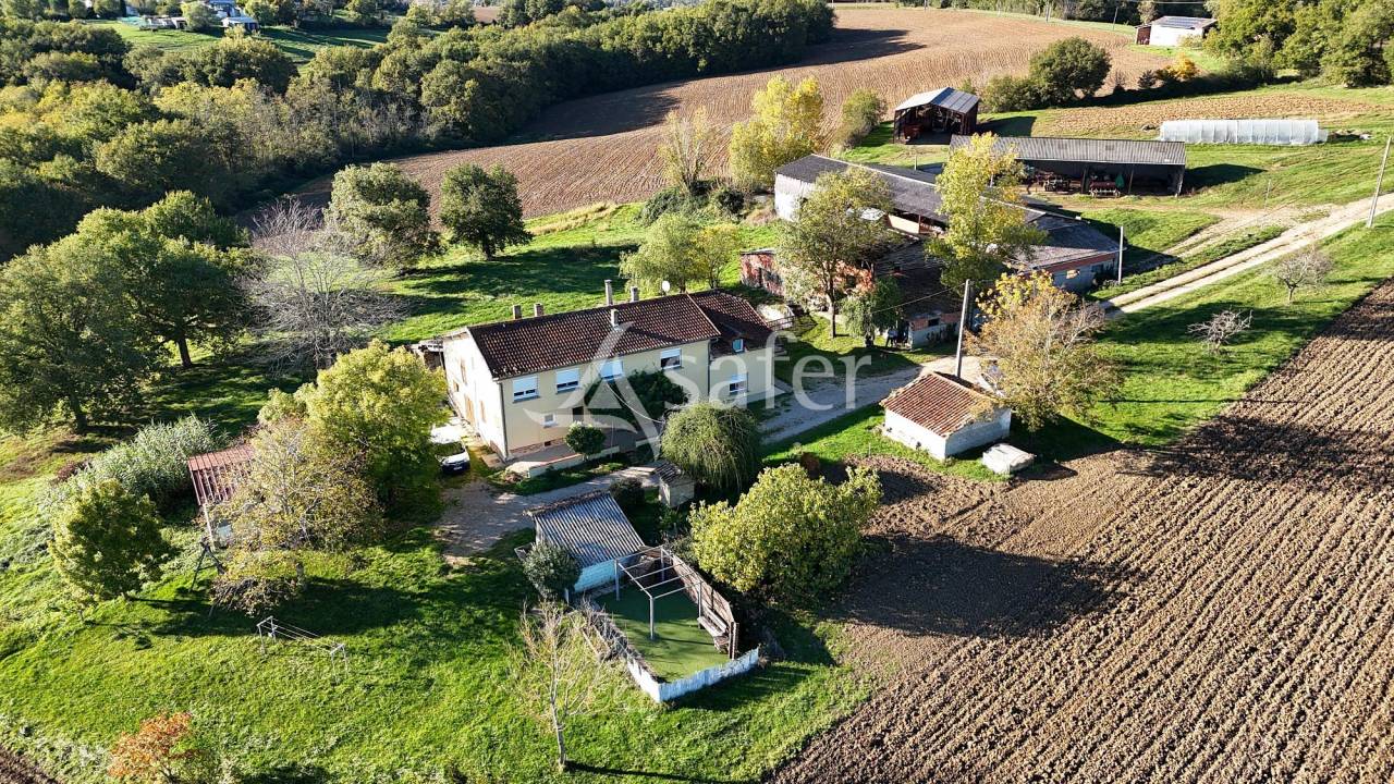 Explotación ovina En venta Tarn y Garona