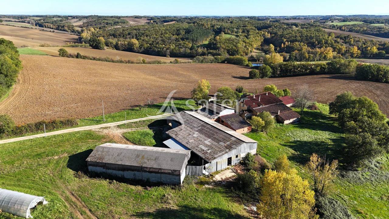 Explotación ovina En venta Tarn y Garona