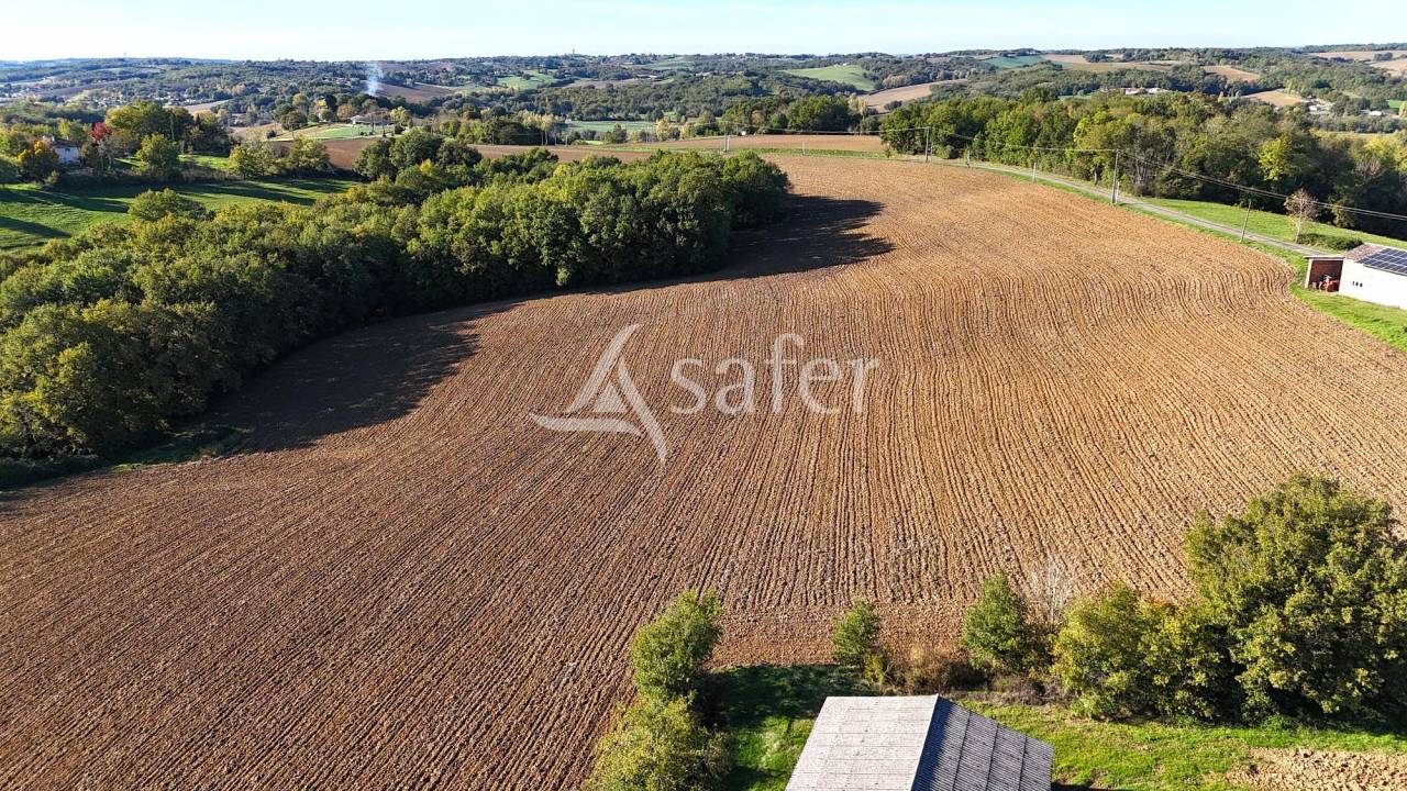 Explotación ovina En venta Tarn y Garona